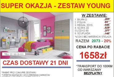 PROMOCJA-Meble skrzyniowe dostępne od ręki!