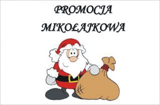 Mikołajkowa promocja w salonach DOM EXPO